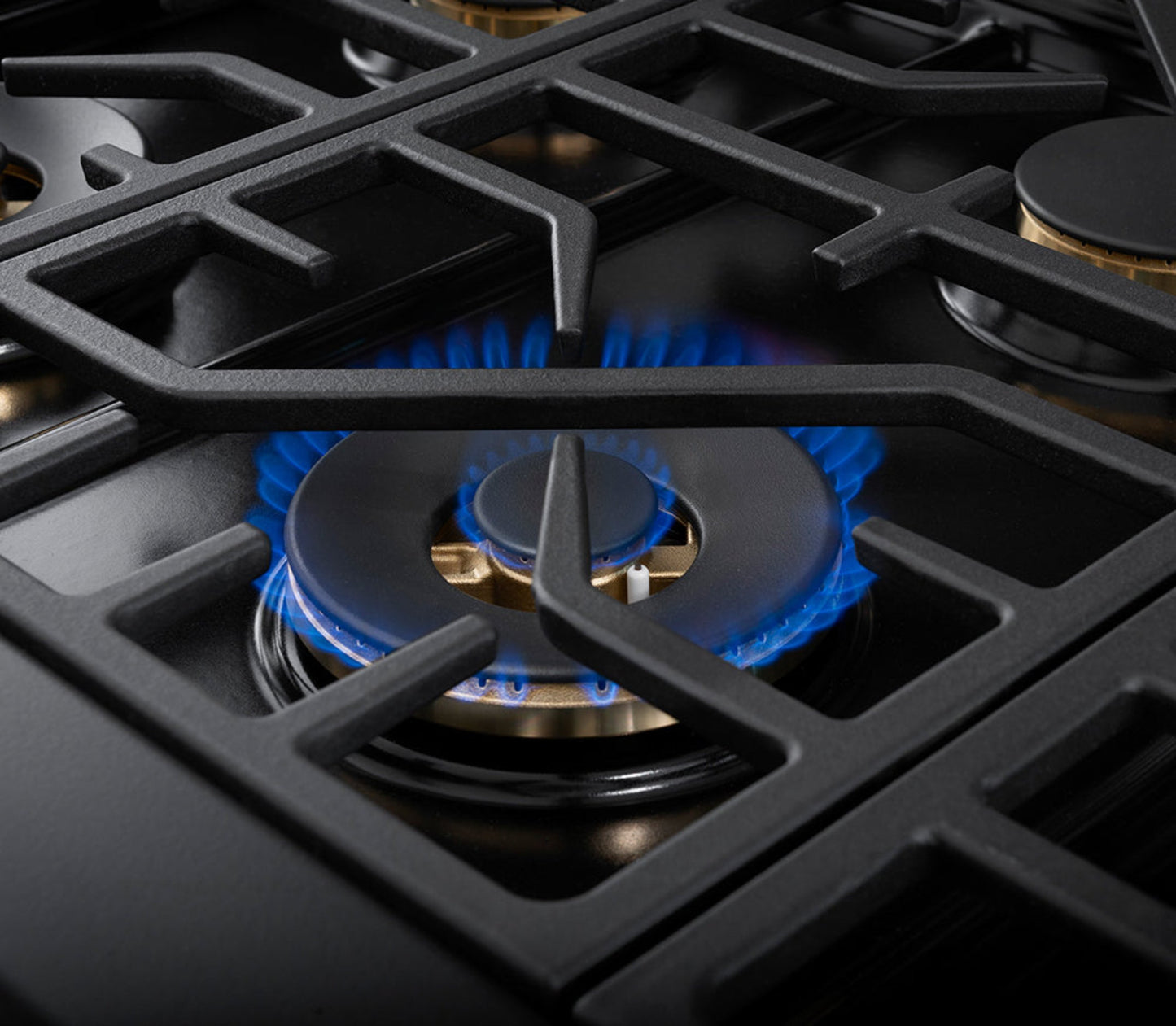 Forza 48-inch Professional Dual Fuel Range
