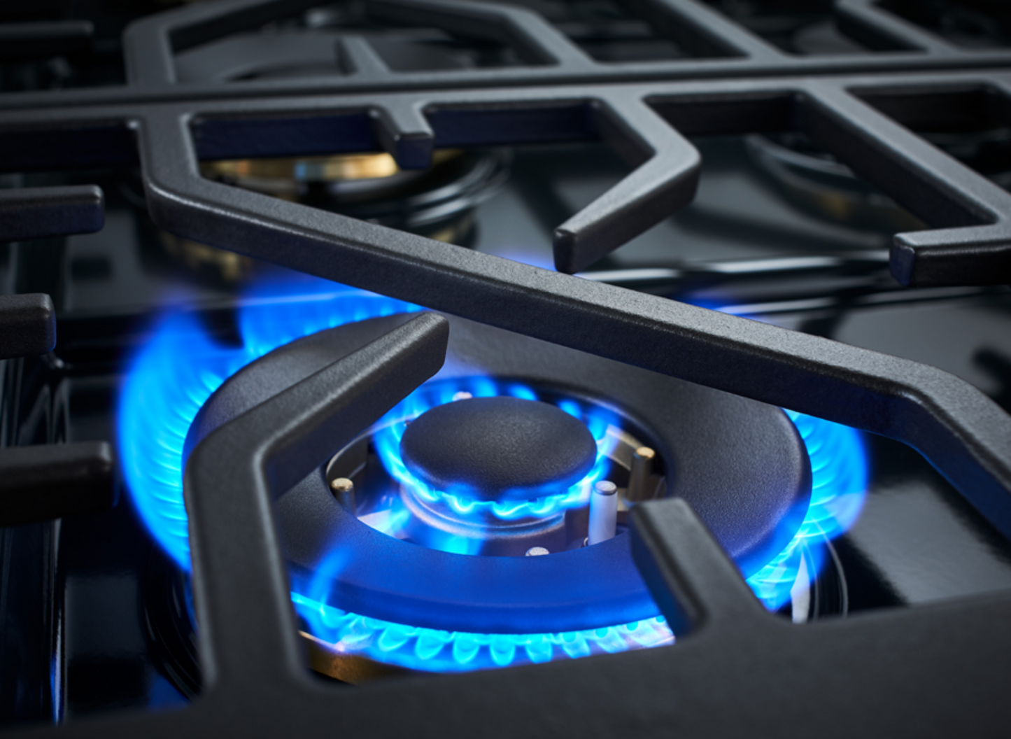 Forza 30-inch Professional Dual Fuel Range