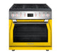Forza 36-inch Professional Dual Fuel Range